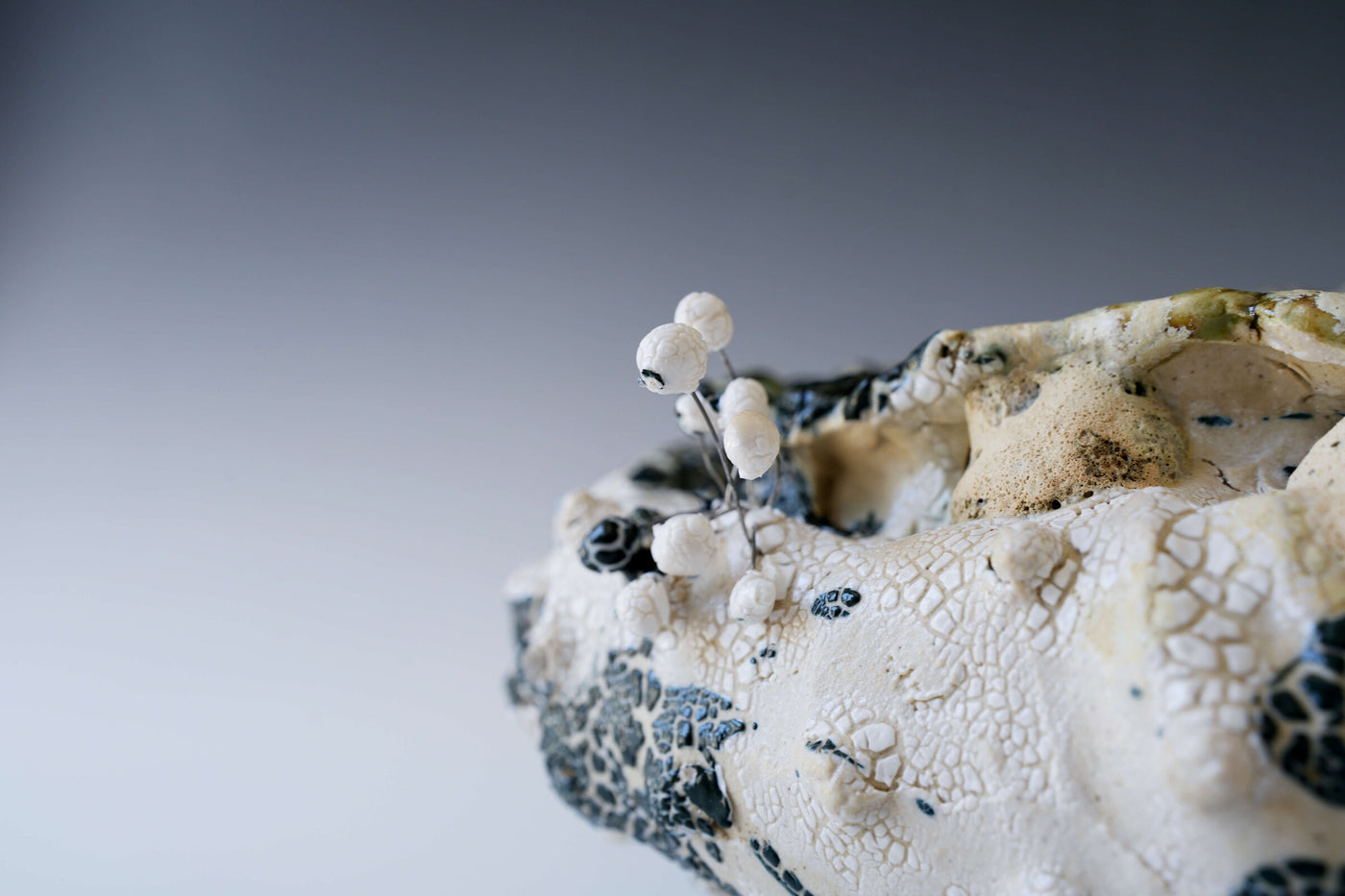 Crater Bloom Vessel