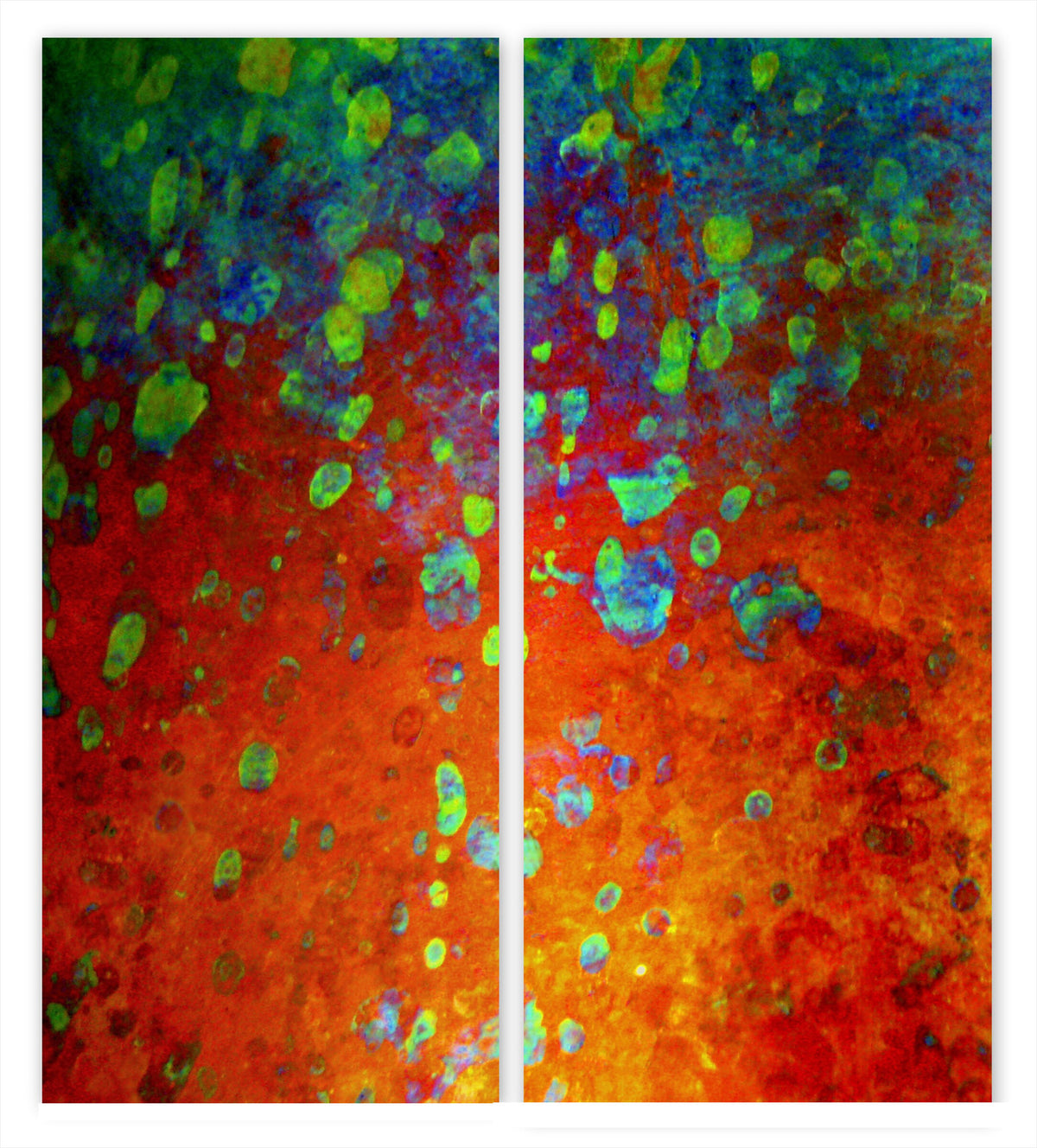 Luminous Harvest