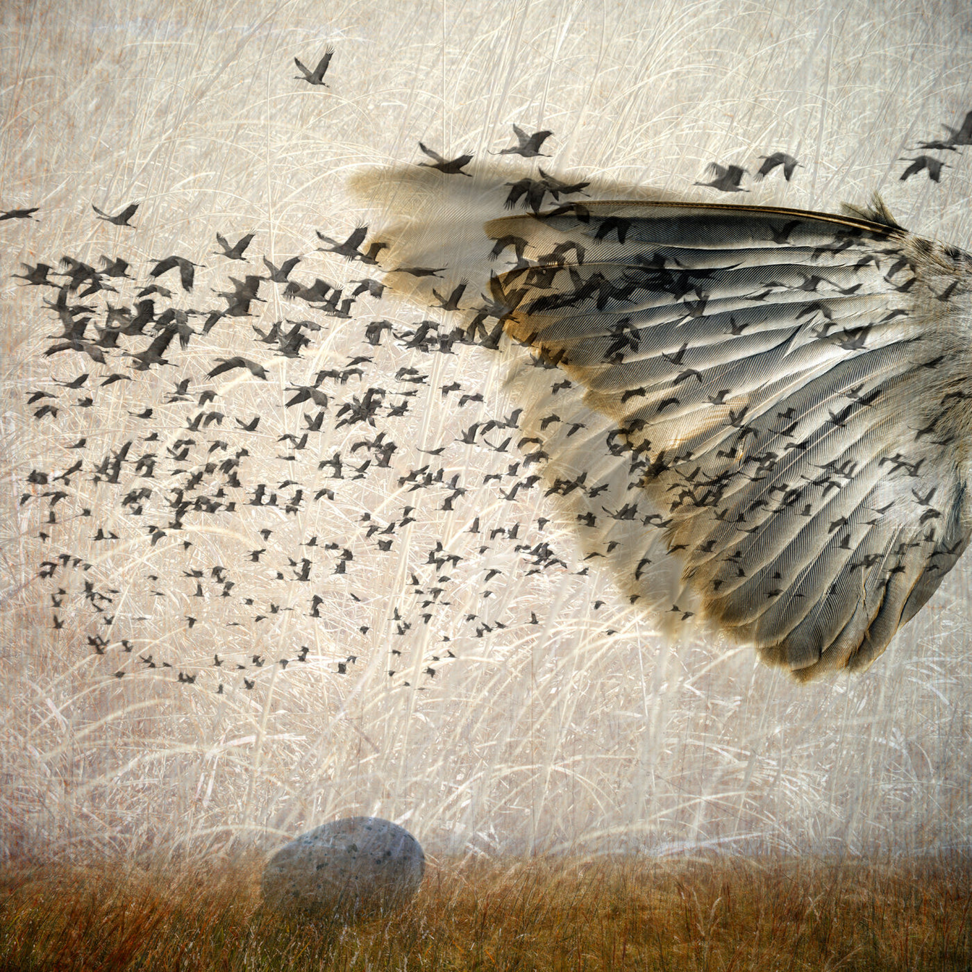 Flight 1