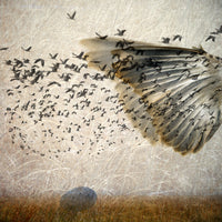 Flight 1