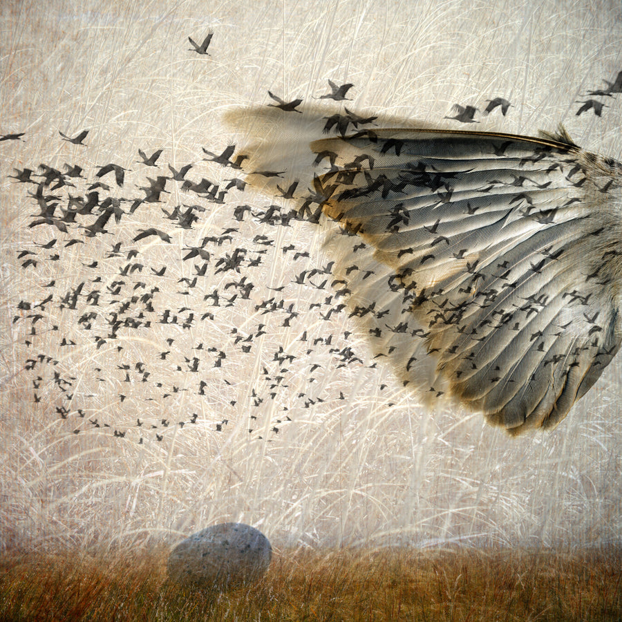 Flight 1