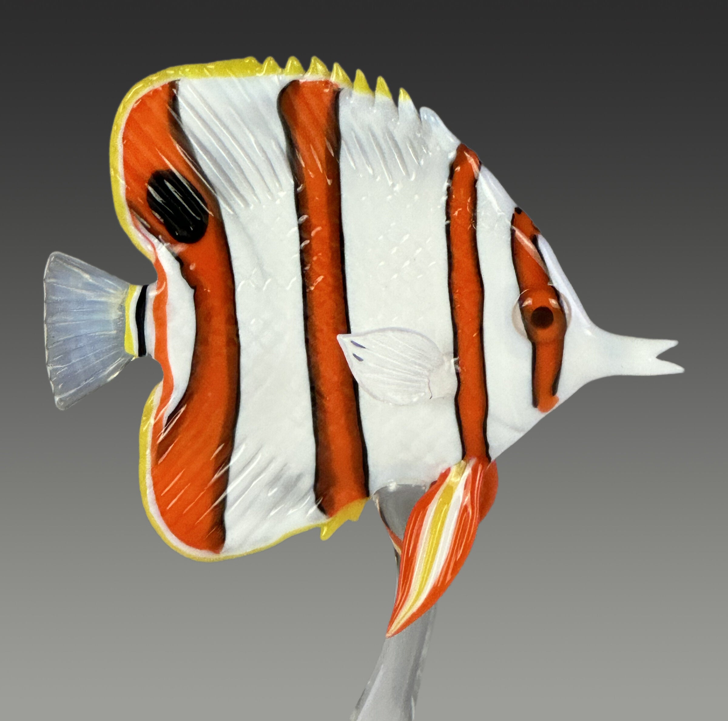 Copperband Butterflyfish II