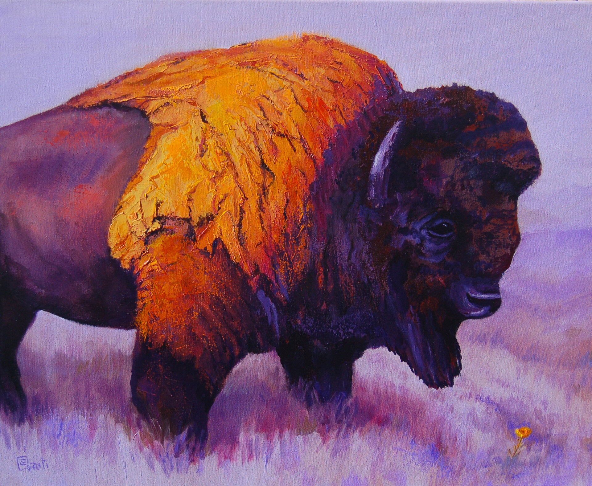 Bison Flower