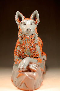Coyote