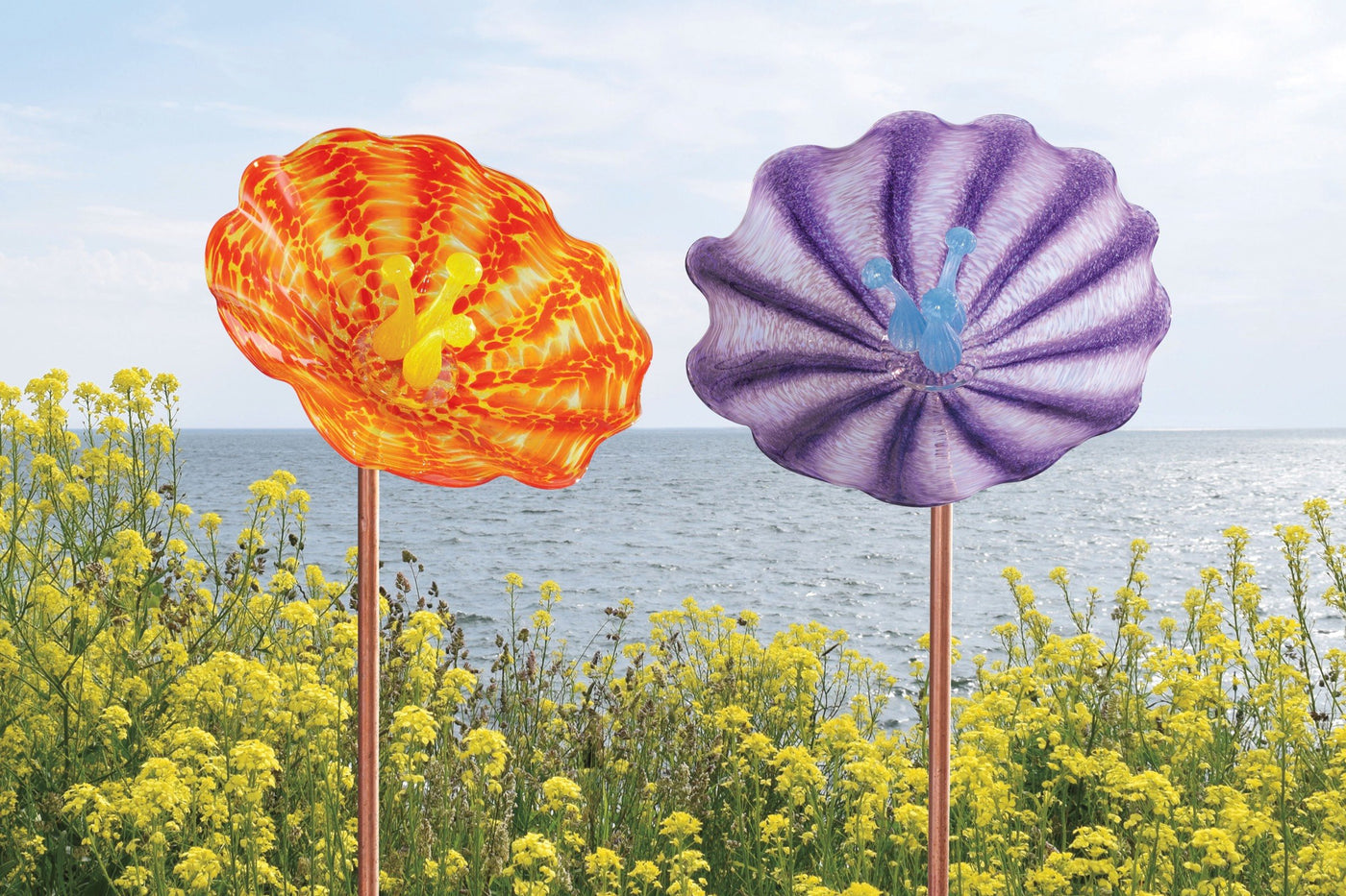 shown with fluted poppies