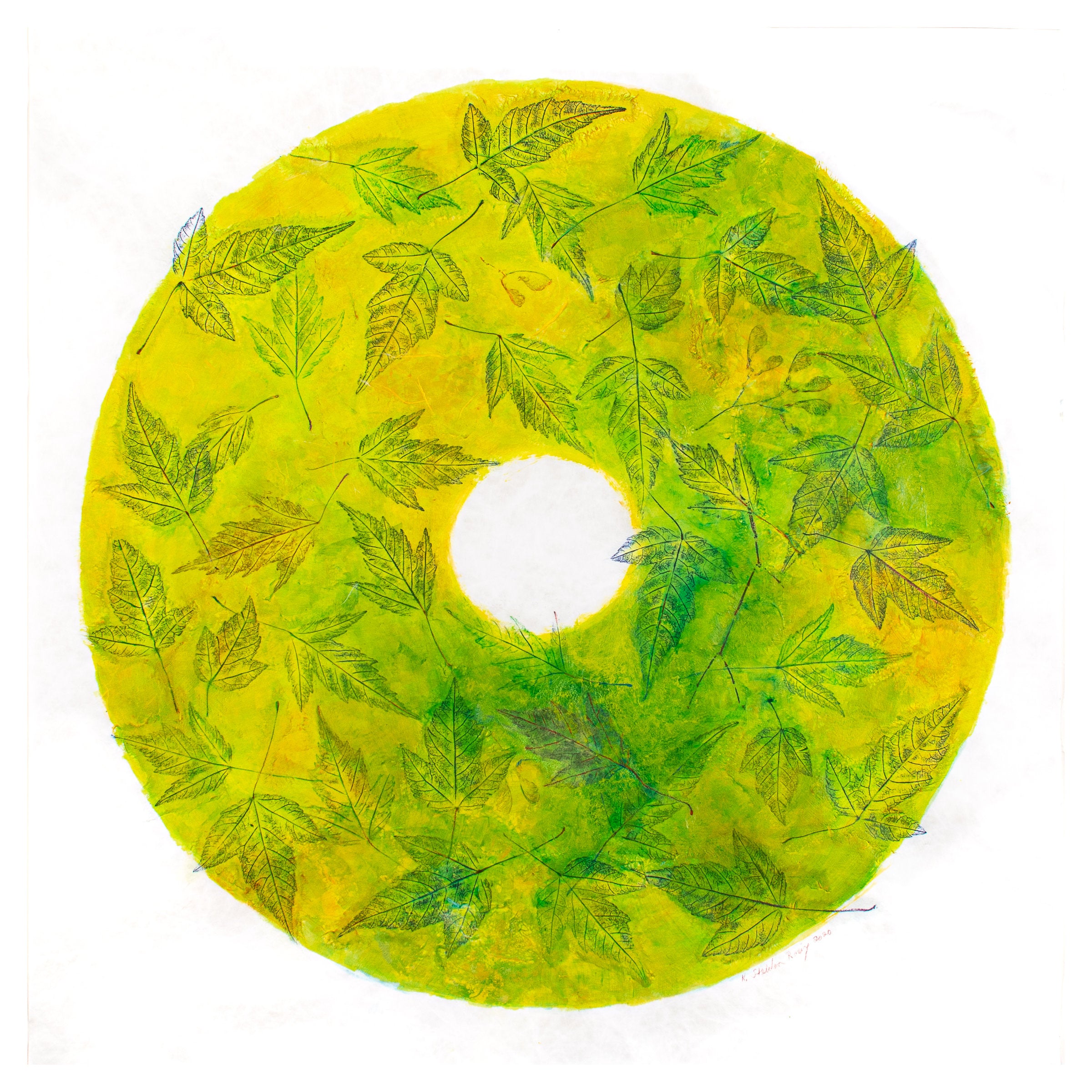 Respirations: Amur Maple