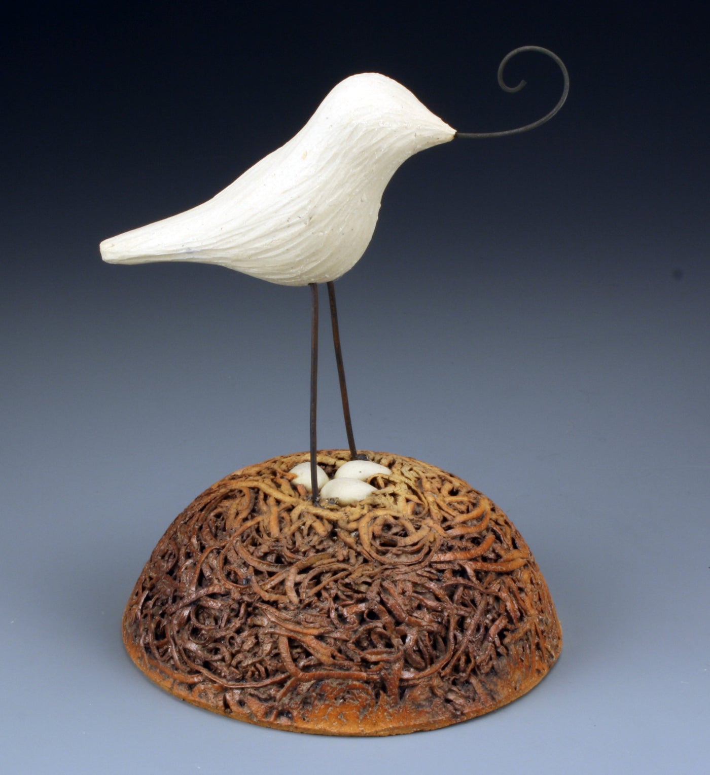 Nest with Song Bird