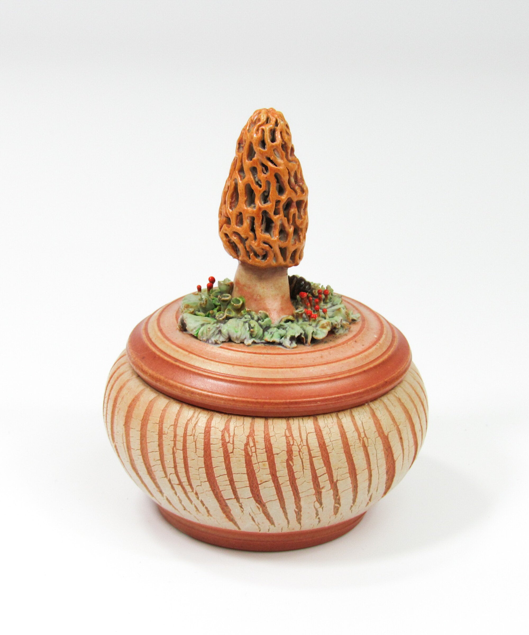 Morel Mushroom with Roly-Poly
