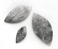 August Leaves IV