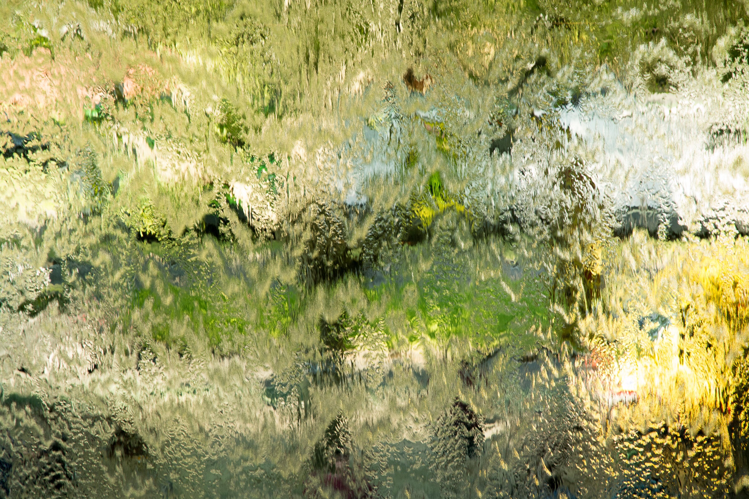Awash in Green | Photo by Cindy A Stephens