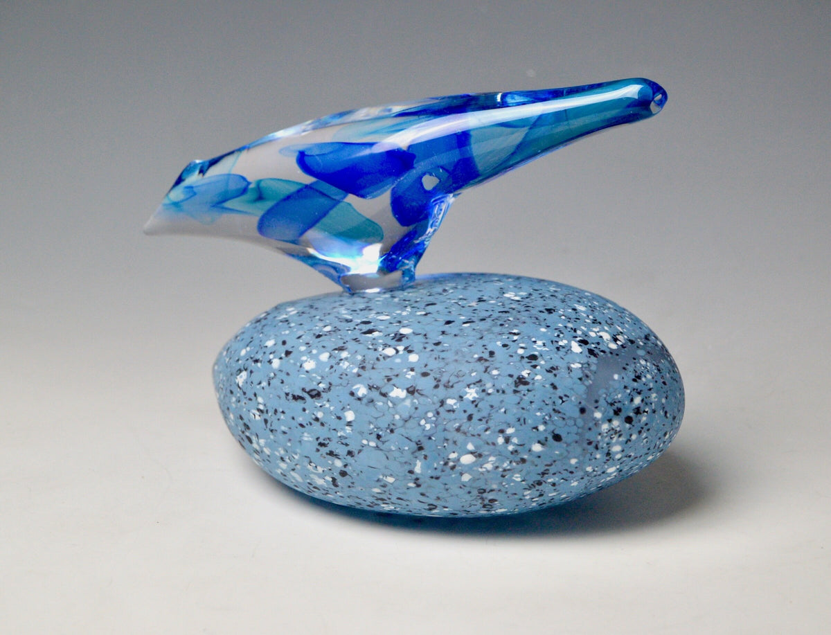 Blue Starling on River Stone
