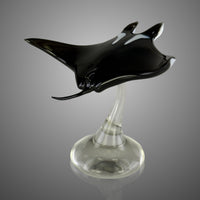 Manta Ray