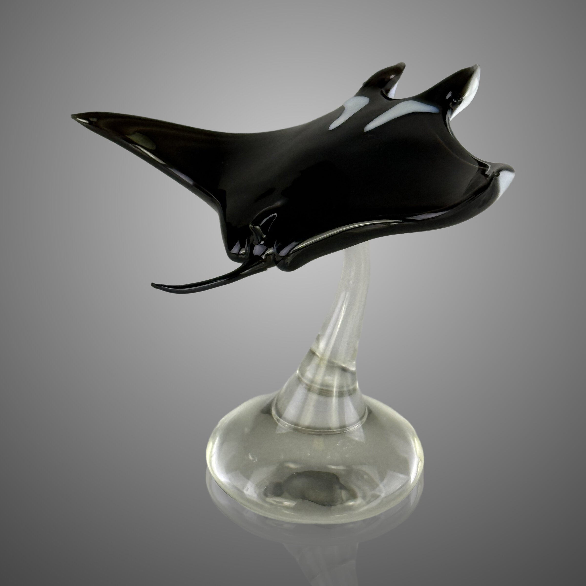 Manta Ray