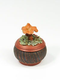 Golden Chanterelle