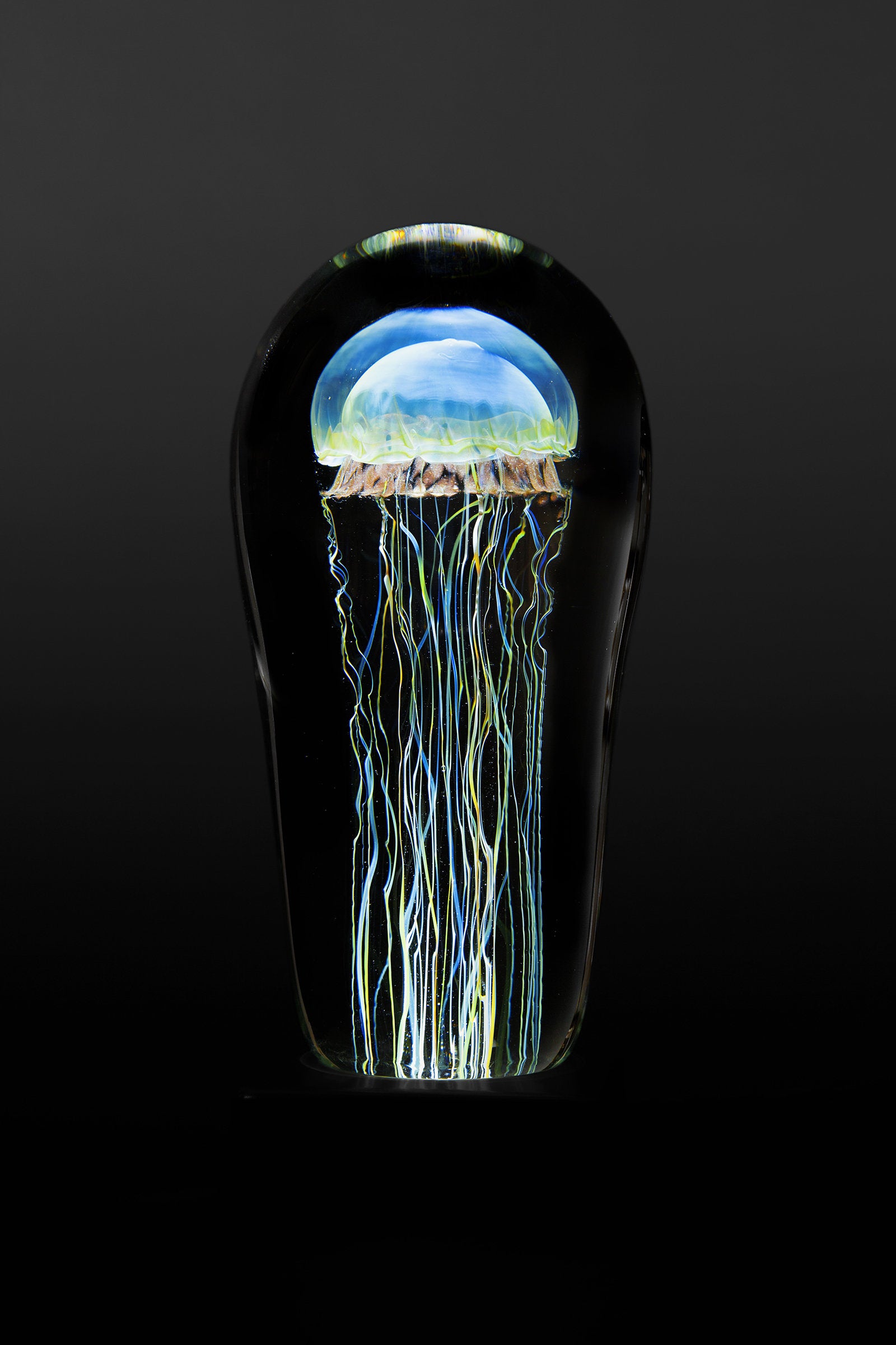 Moon Jellyfish Medium · Artful Home