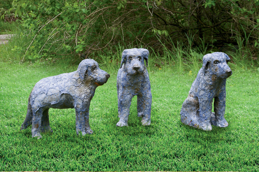 Blue Puppies
