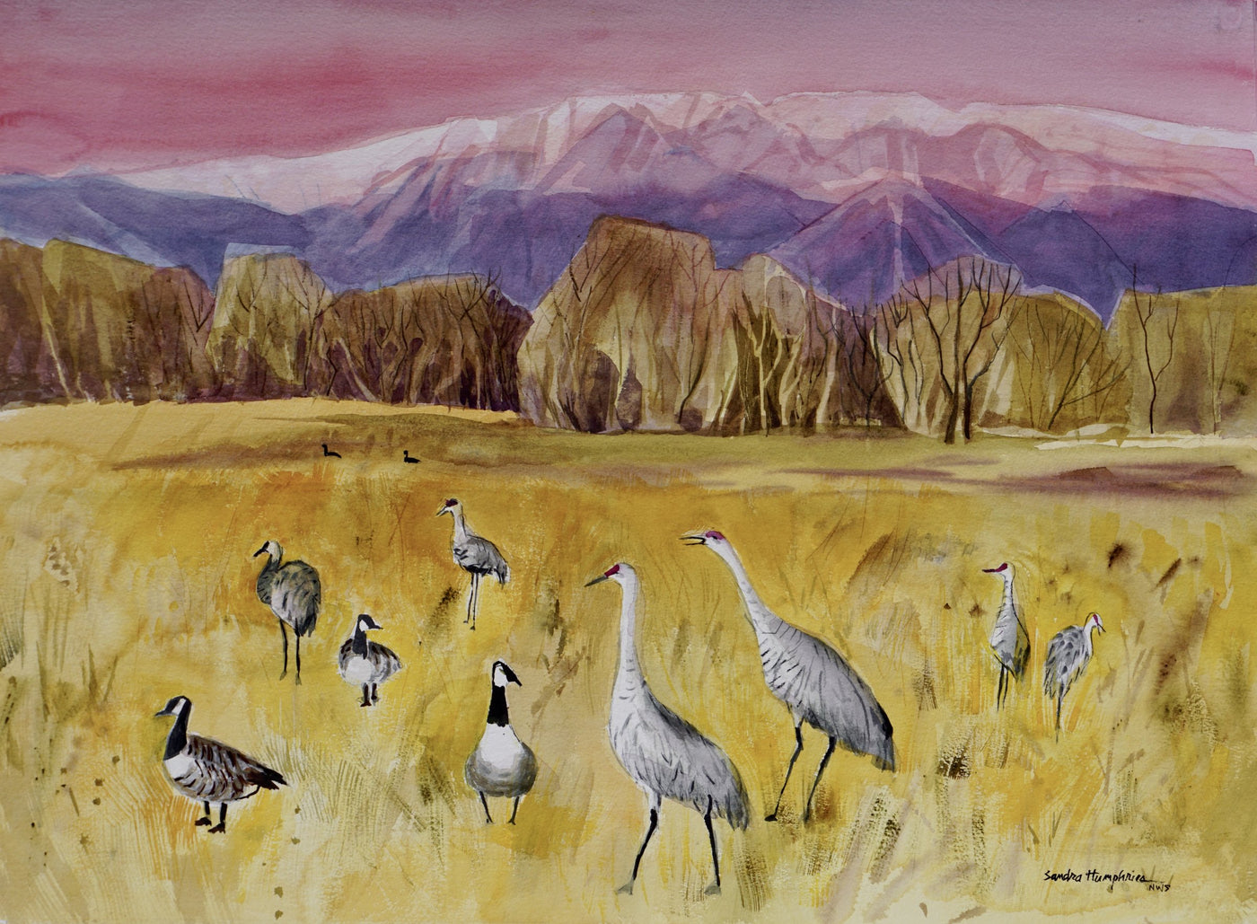 December Geese and Cranes