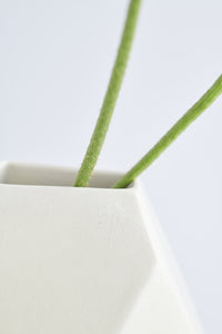 Frost white, medium