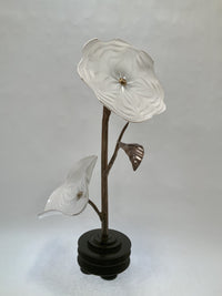 Dogwood Diptych