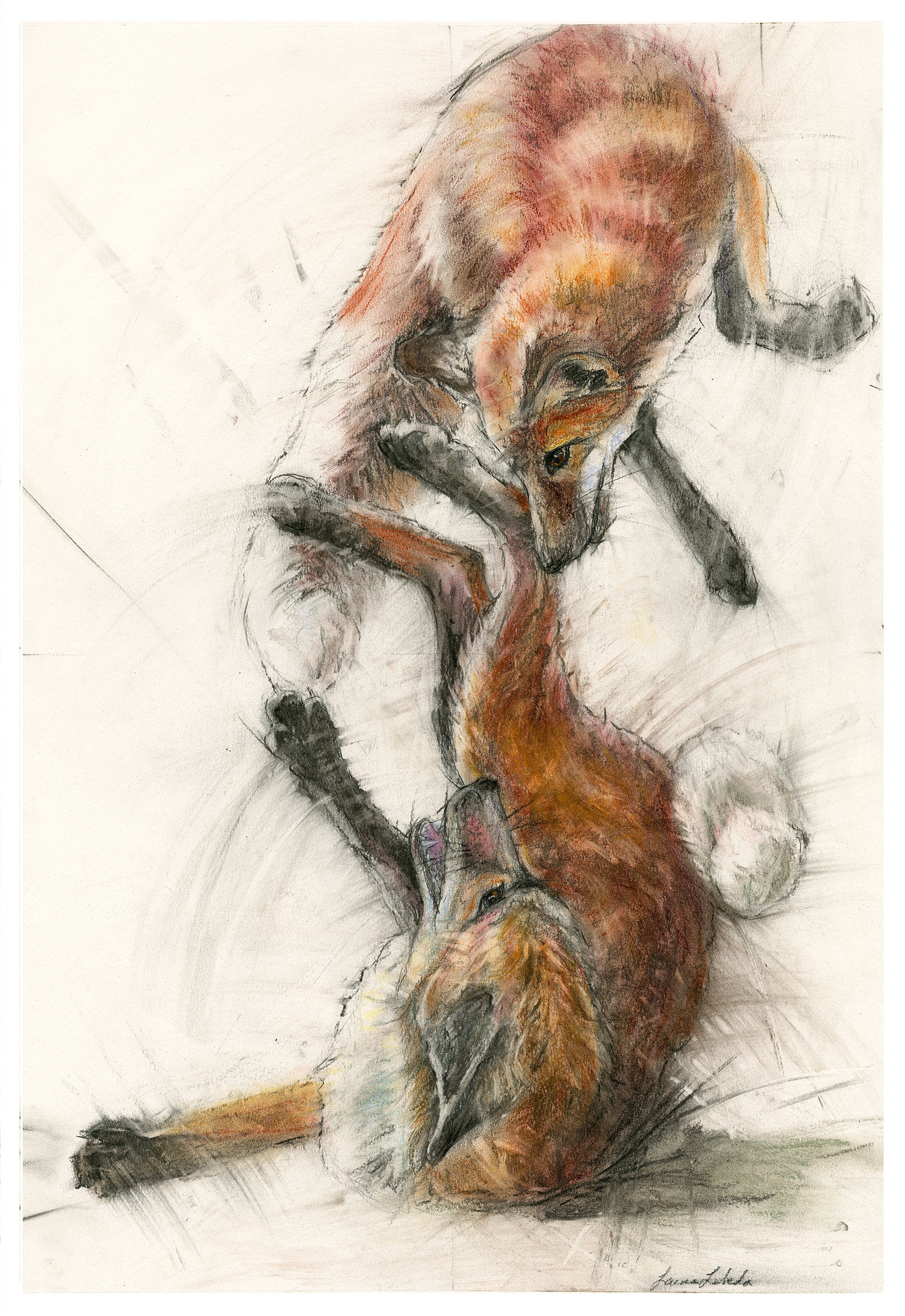 Frolicking Foxes