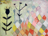Argyle Stems