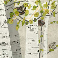 A Glimpse of Butterflies