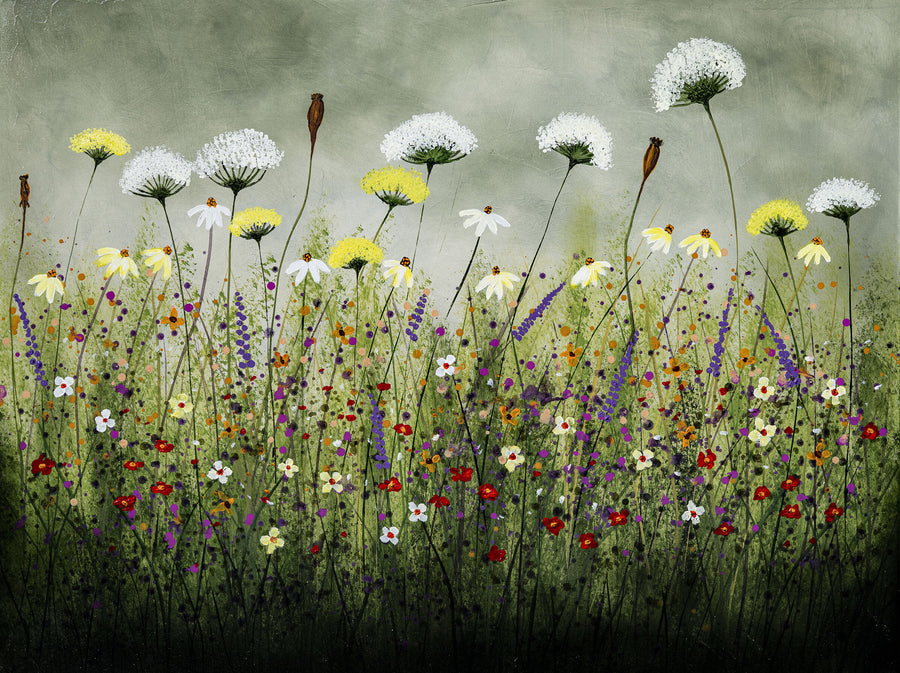 False Queen Annes Lace