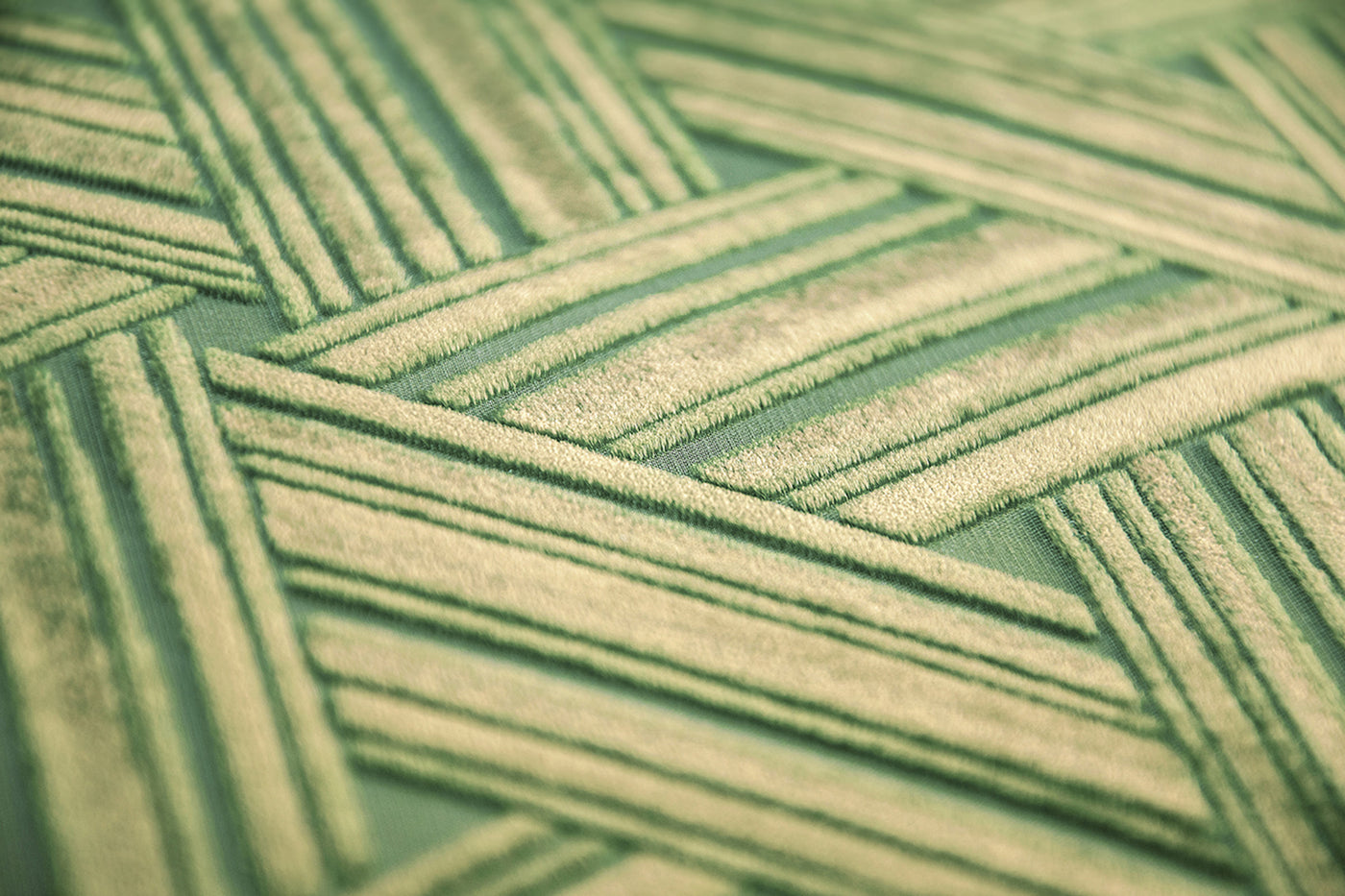 Grass