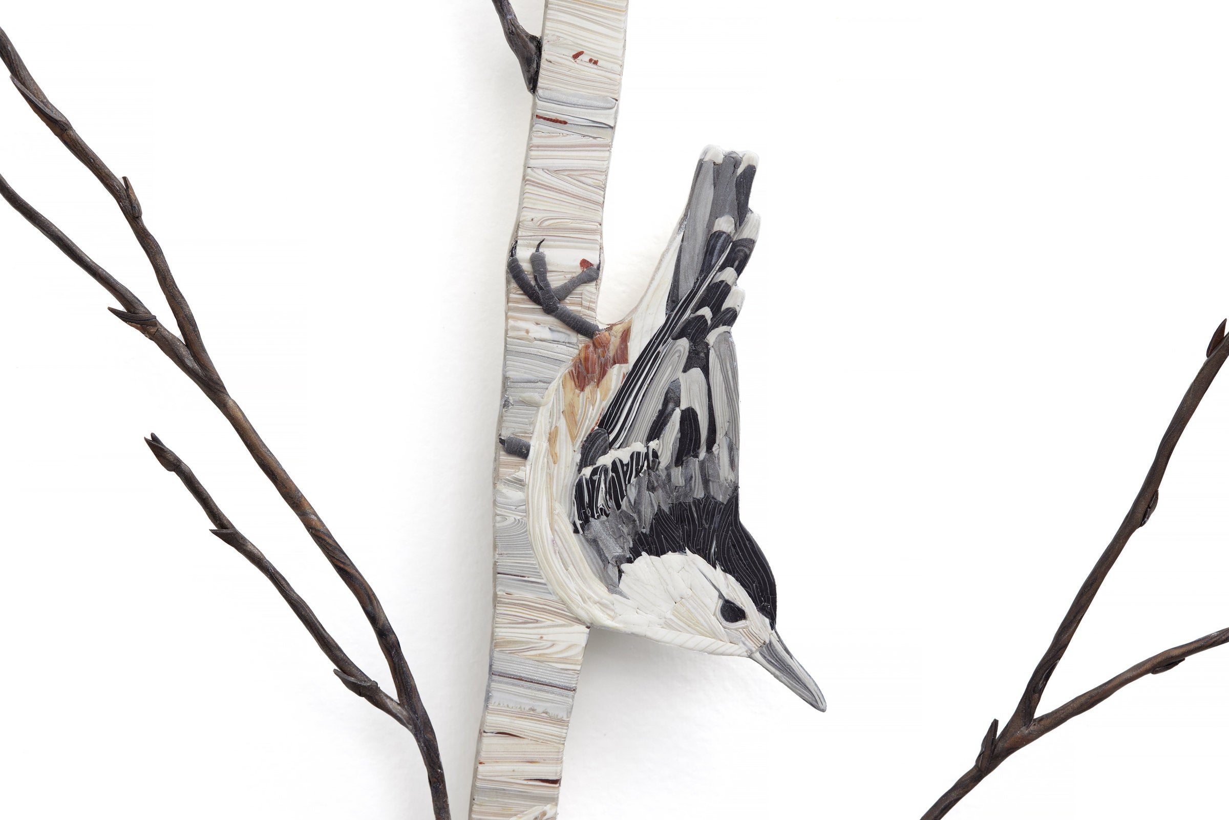 Nuthatch