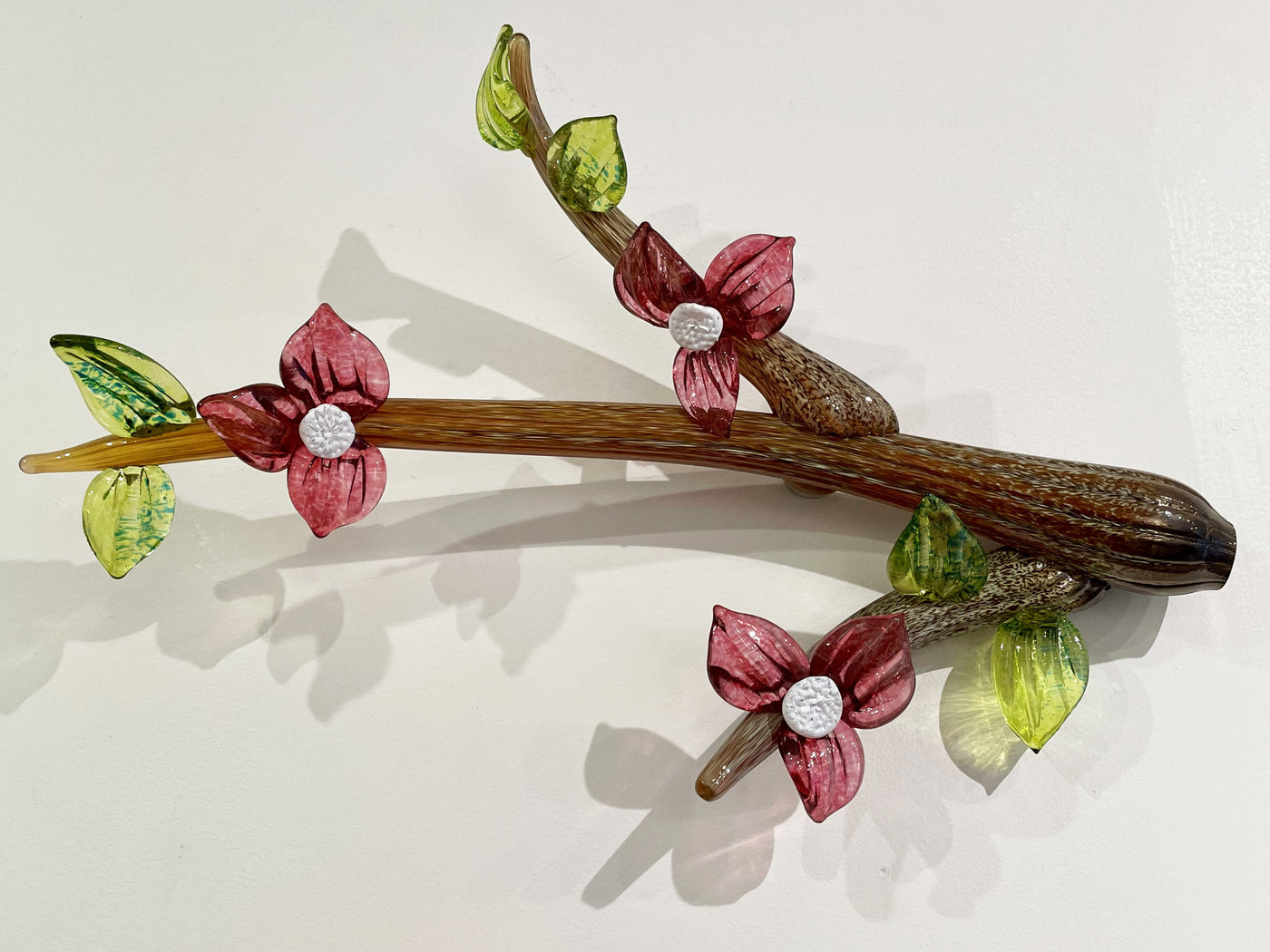 Dogwood Branch