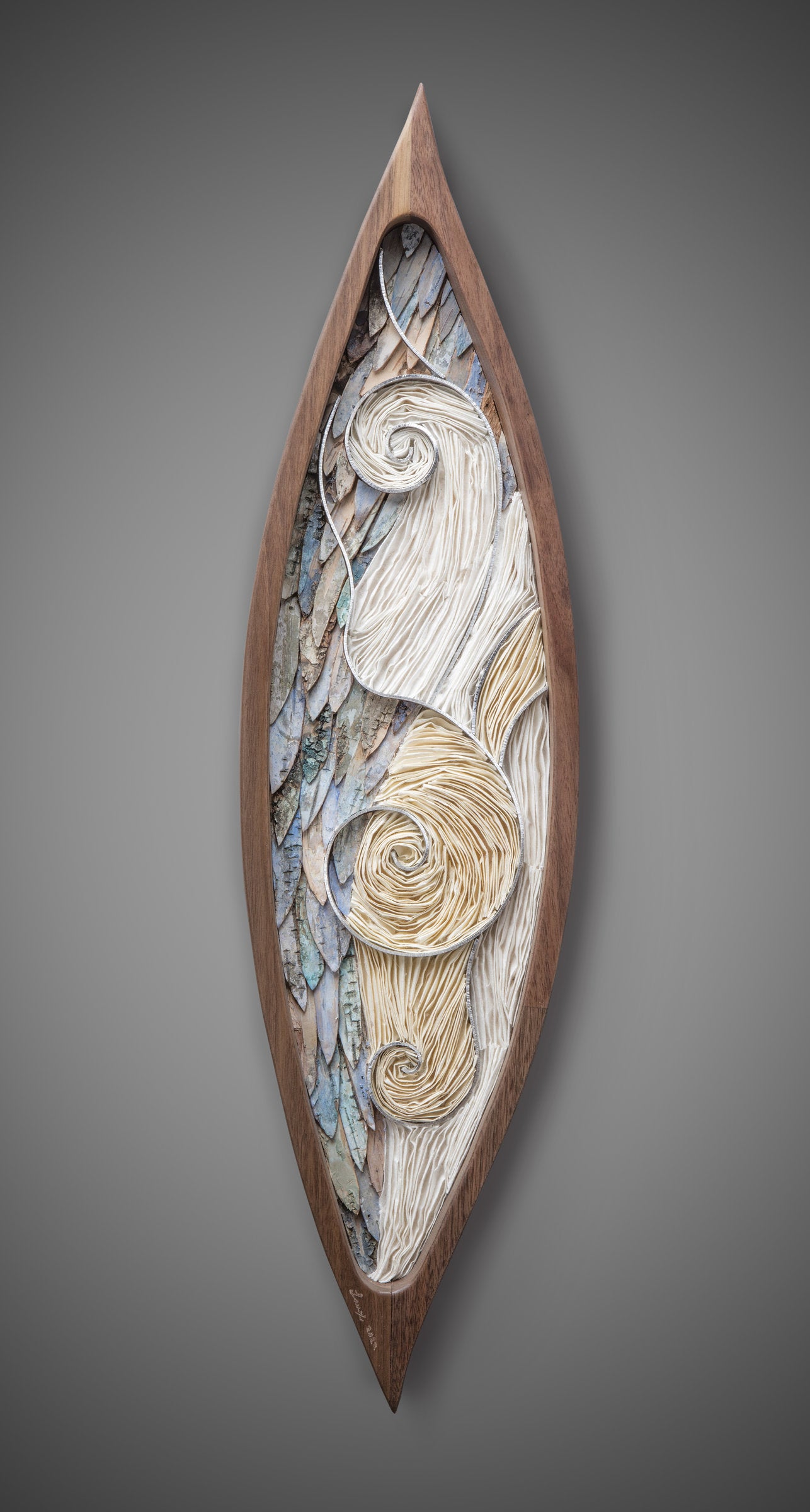 Nautilus