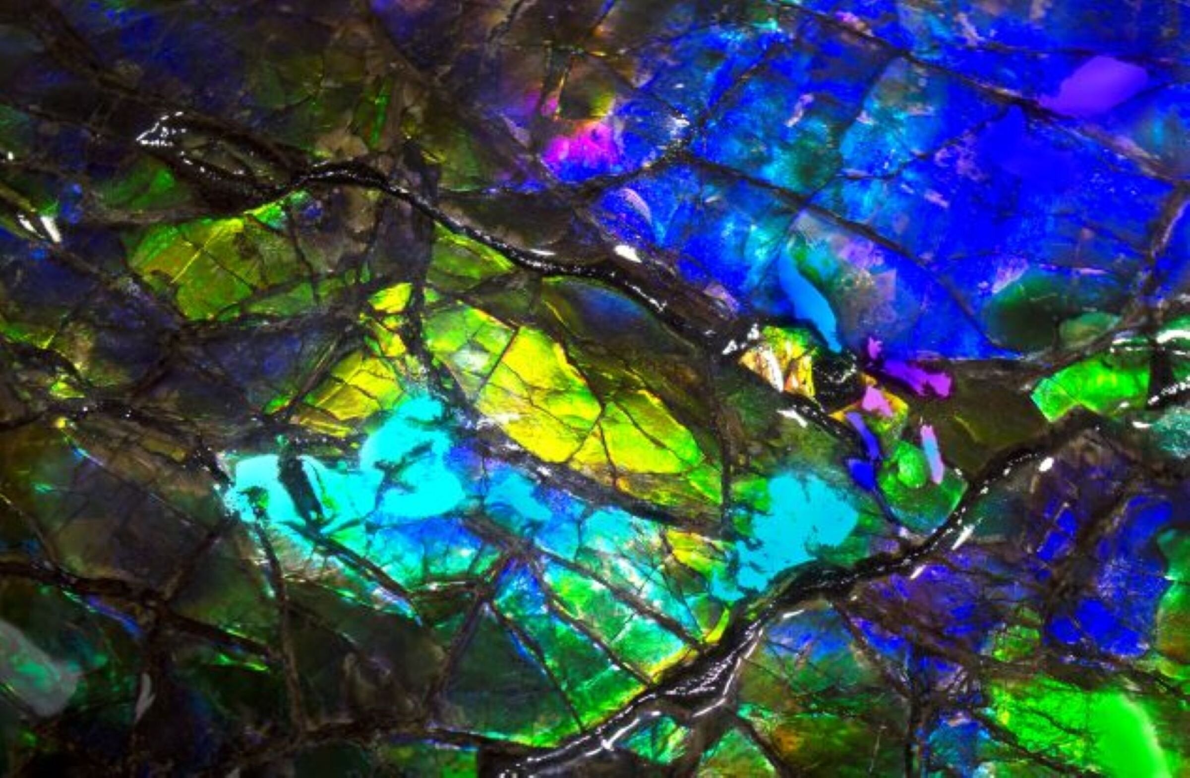 Ammolite 2