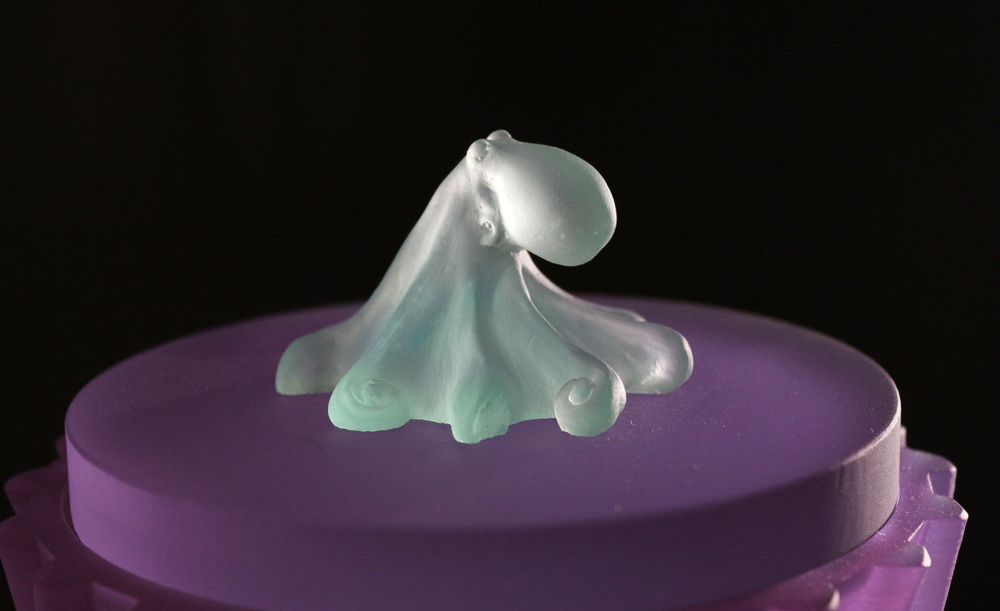 Twisted Octopus Box