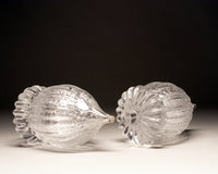 Silver Leaf Acorn
