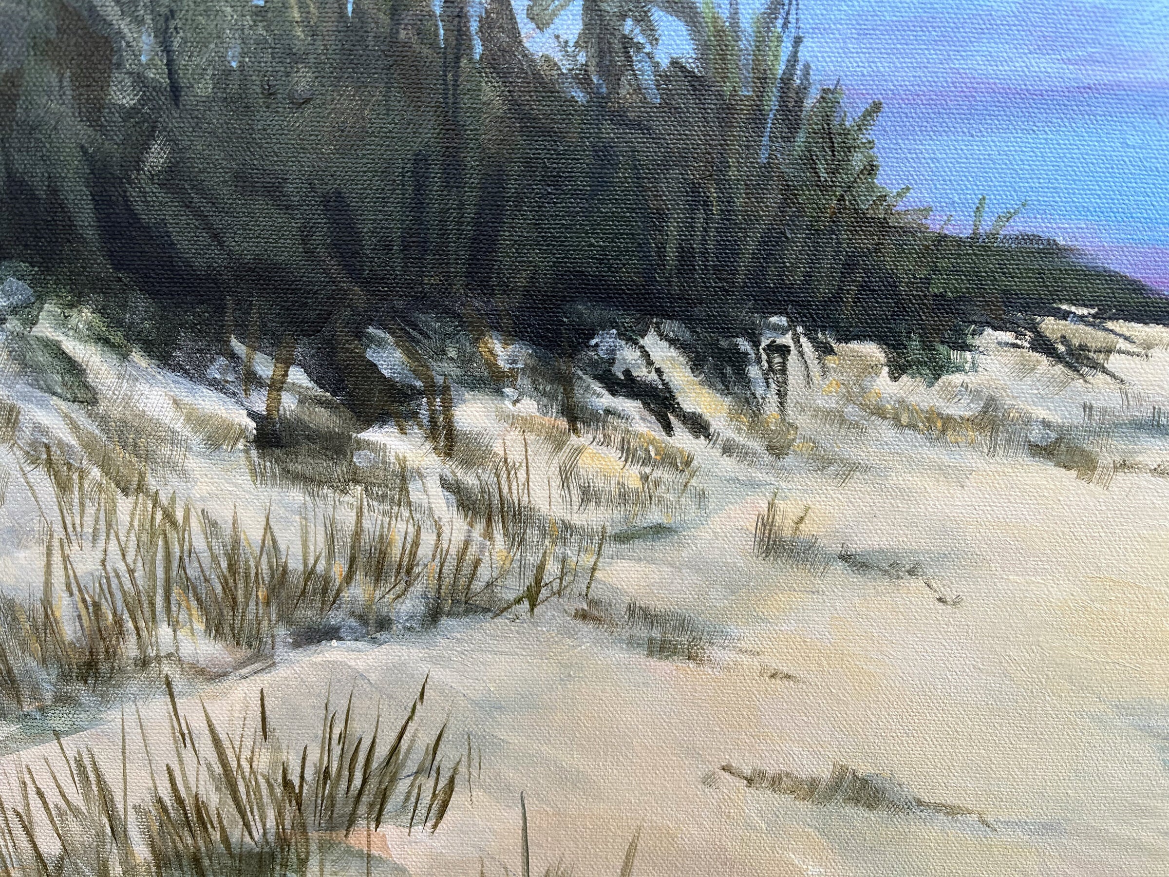 Dune Path