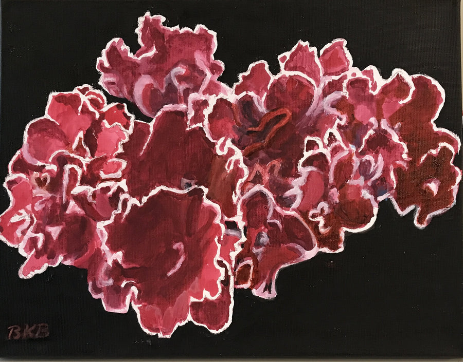 African Violets