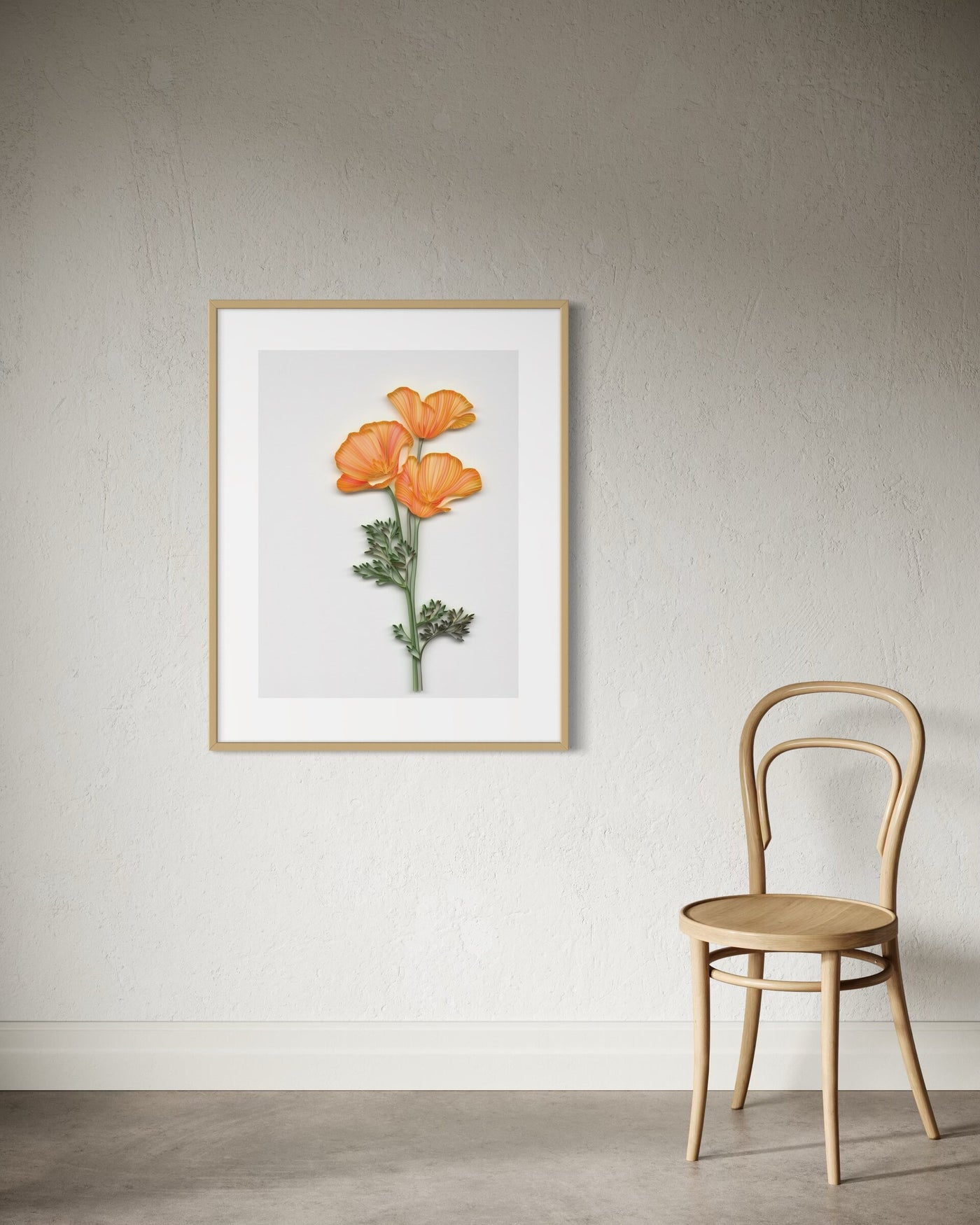 California Poppies