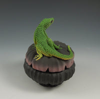 Lone Lizard Box