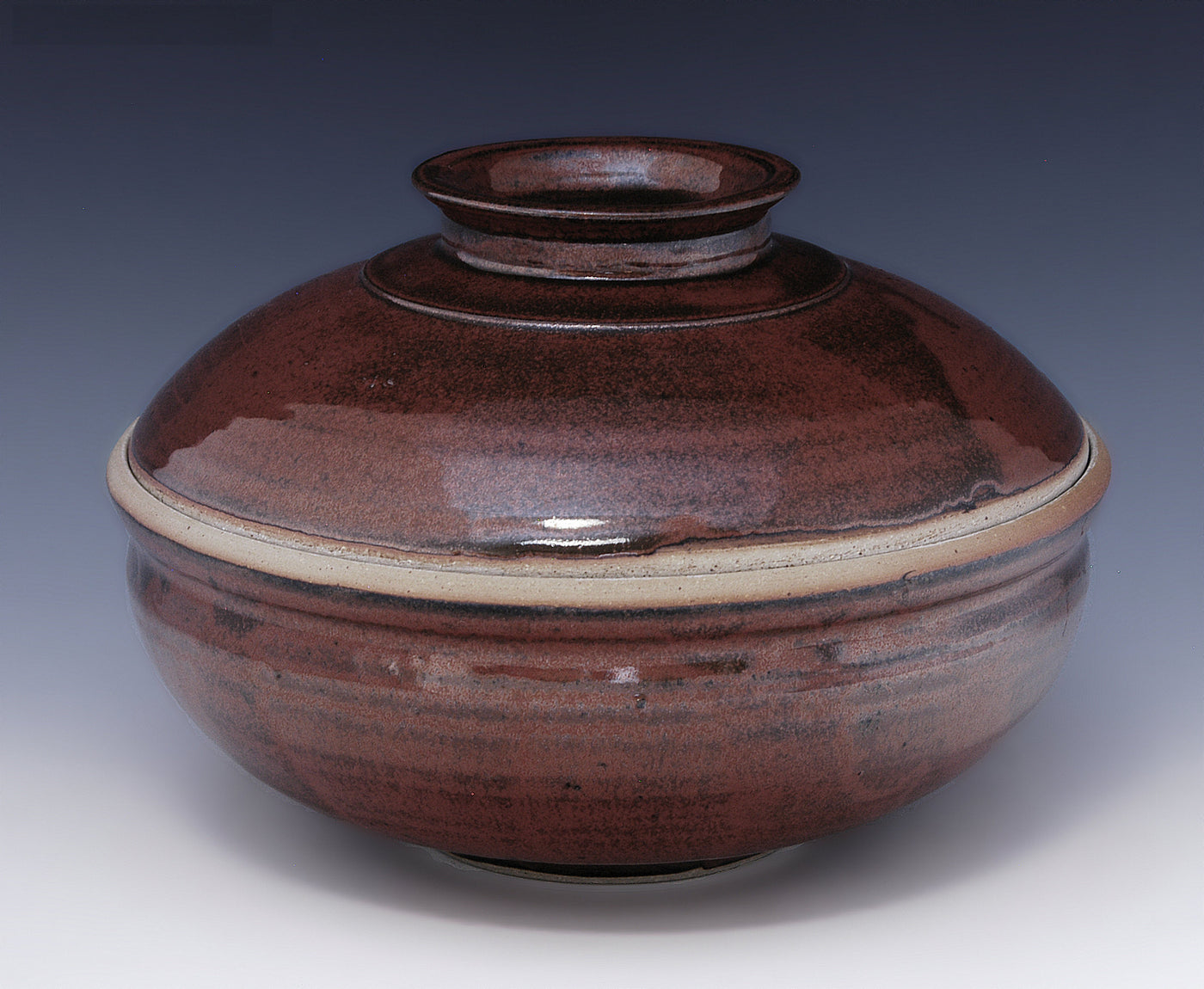 Iron Red Casserole Steamer