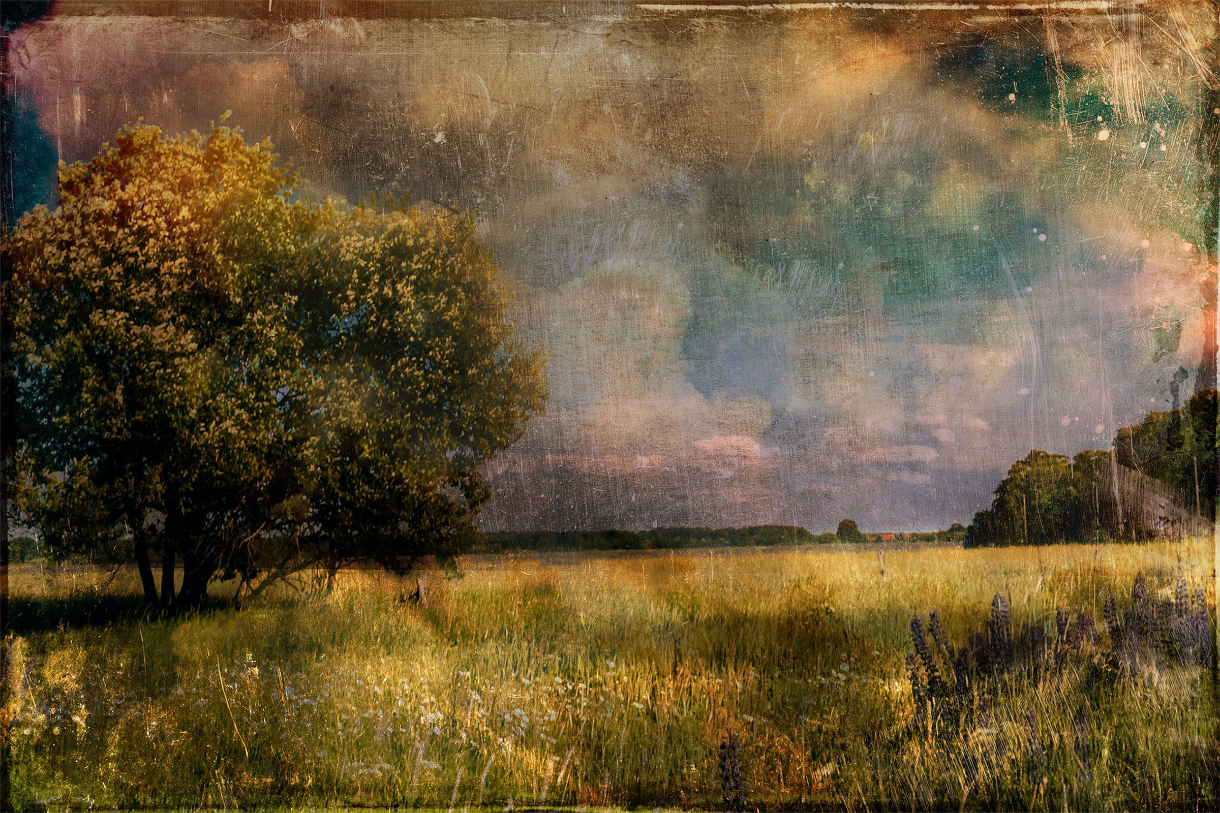 Back Meadow