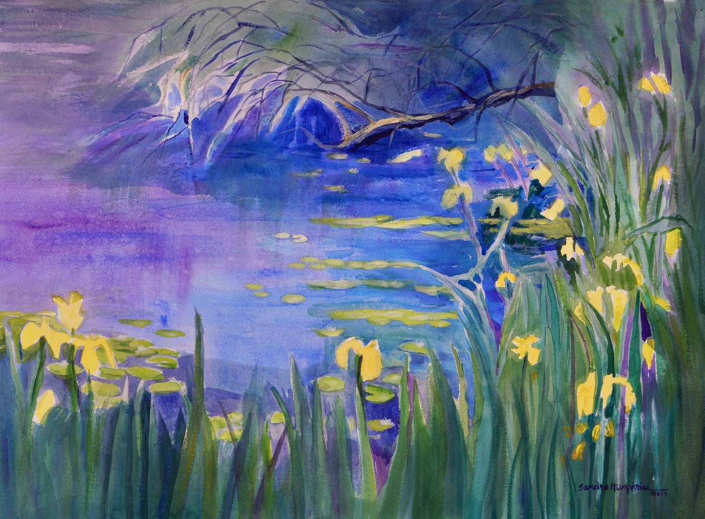 Hidden Cove