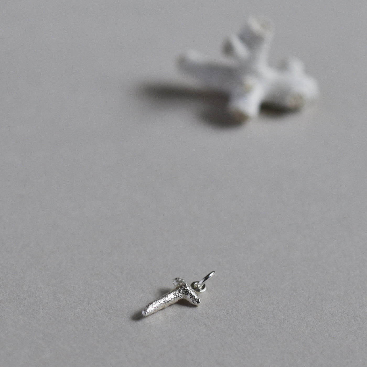 Coral Charm in Bright Silver, next to natural coral