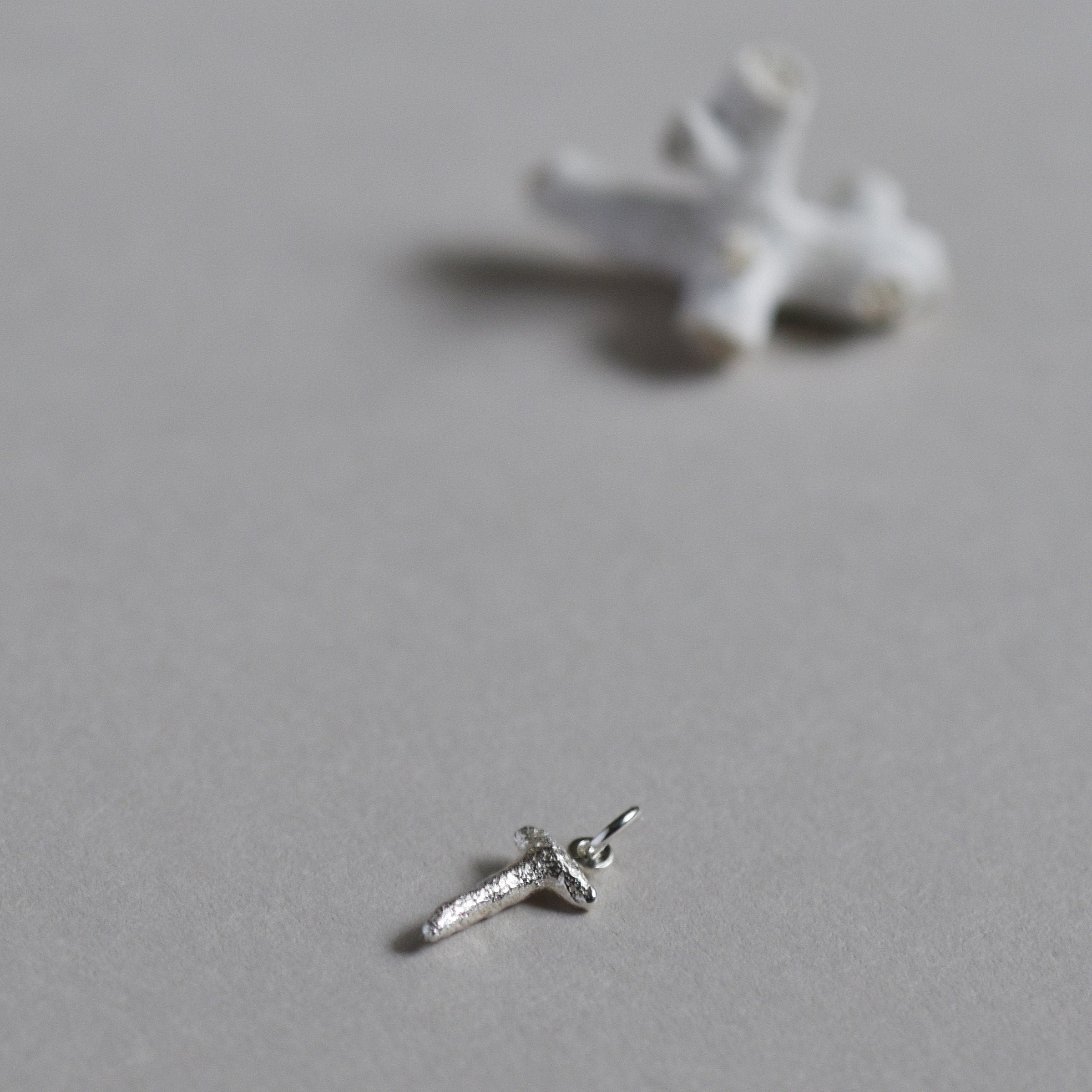 Coral Charm in Bright Silver, next to natural coral