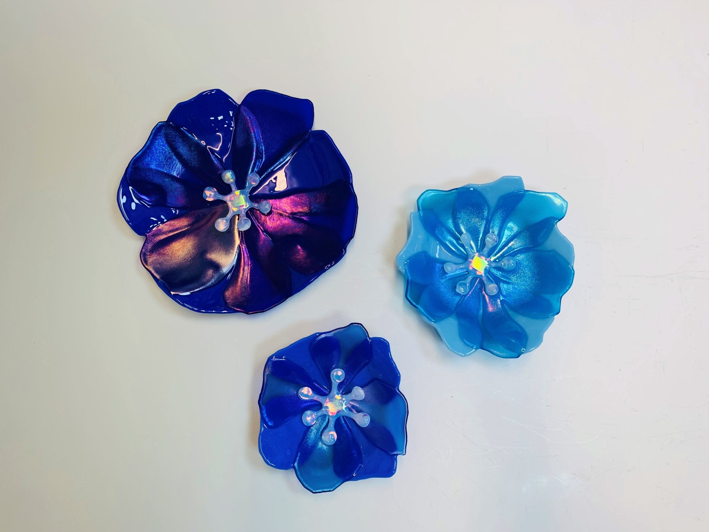 Blue Wallflowers