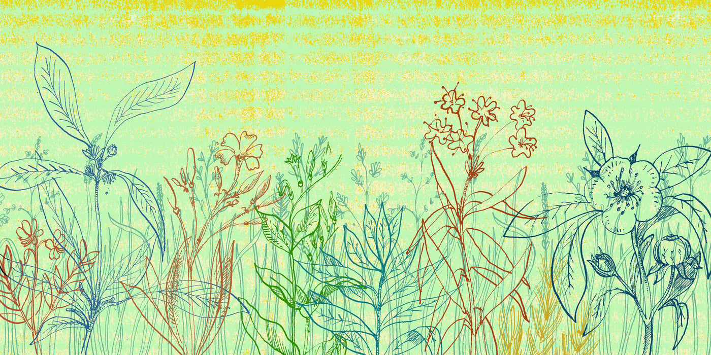 Abstract Plantforms 4