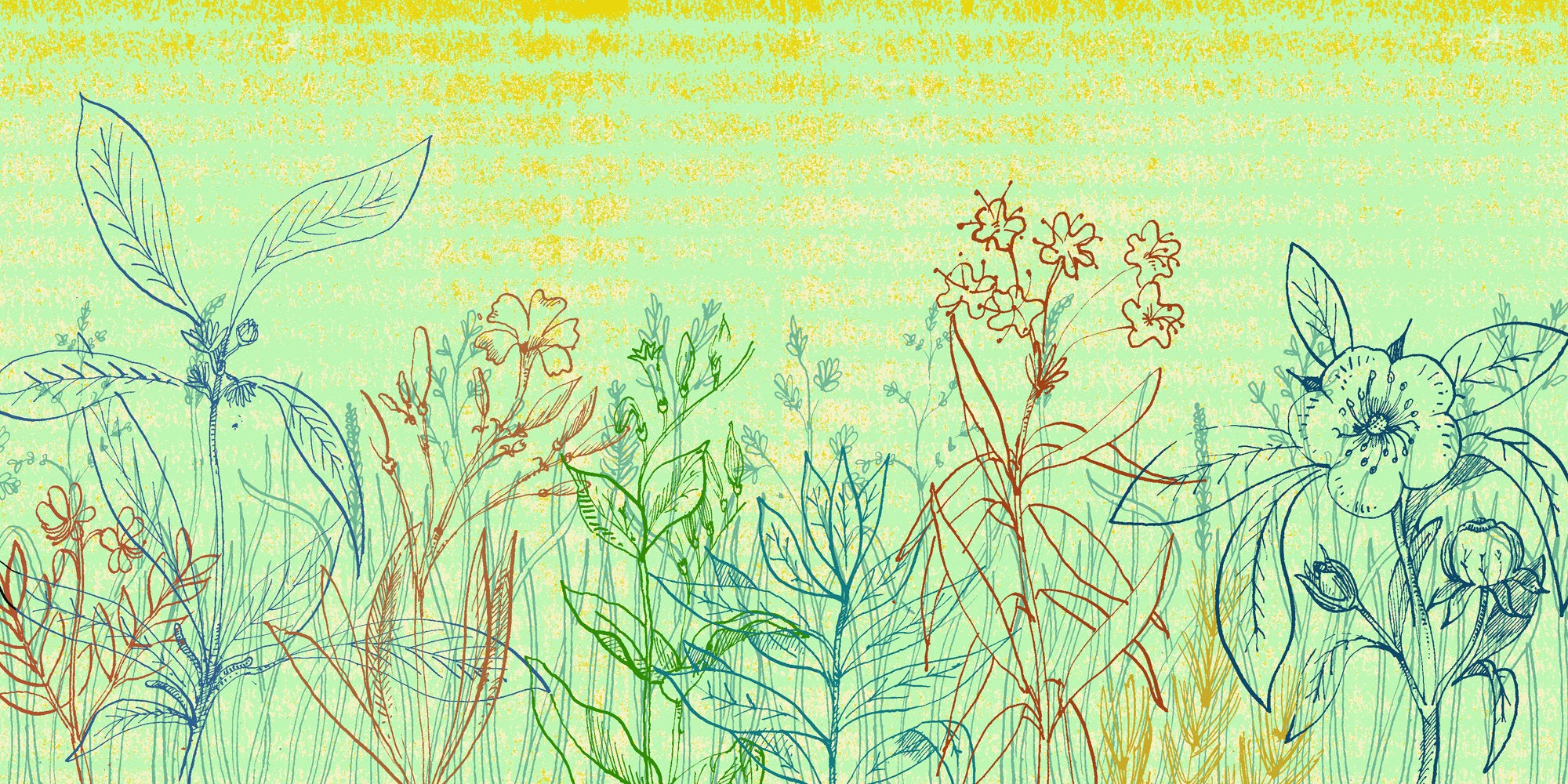 Abstract Plantforms 4