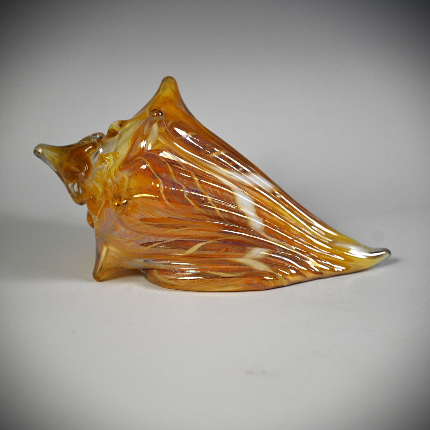 Golden Sunset Shell