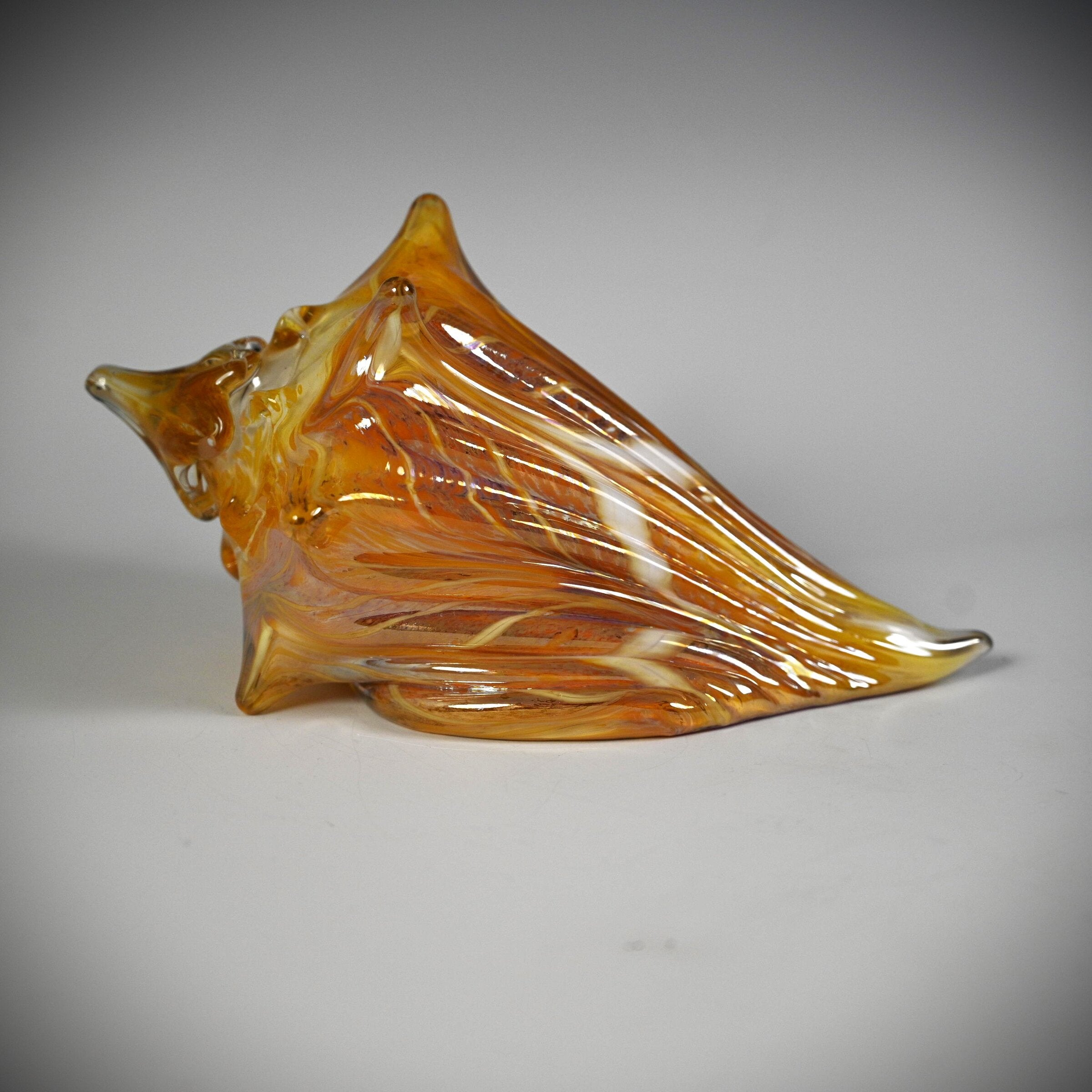 Golden Sunset Shell