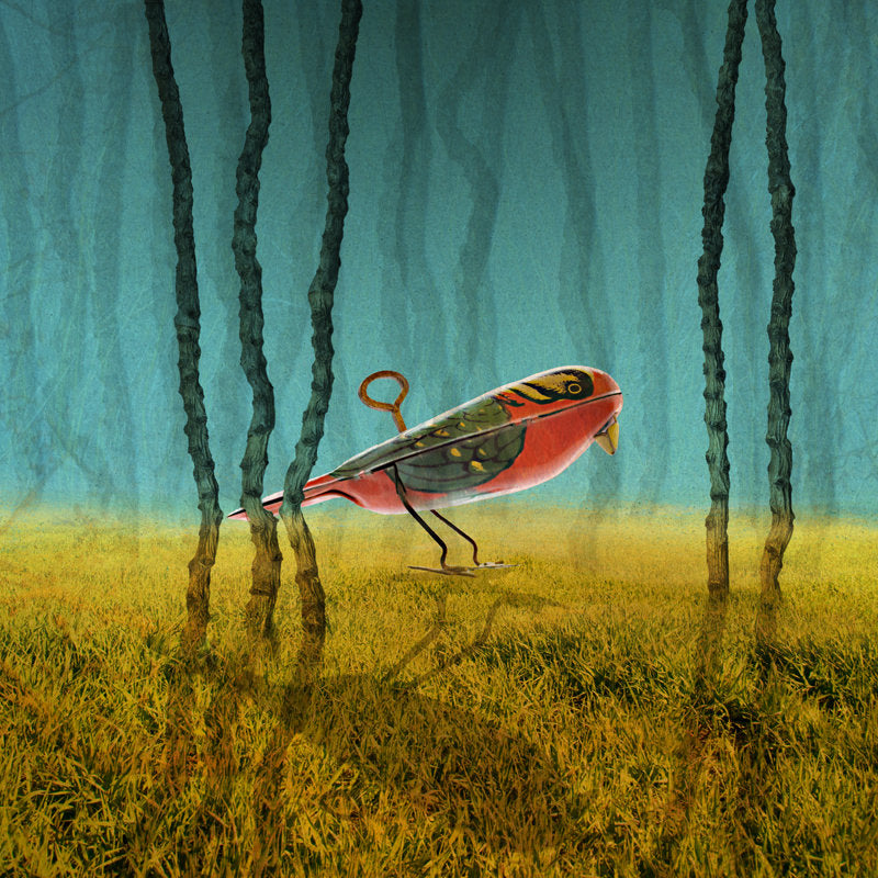 WindupBird