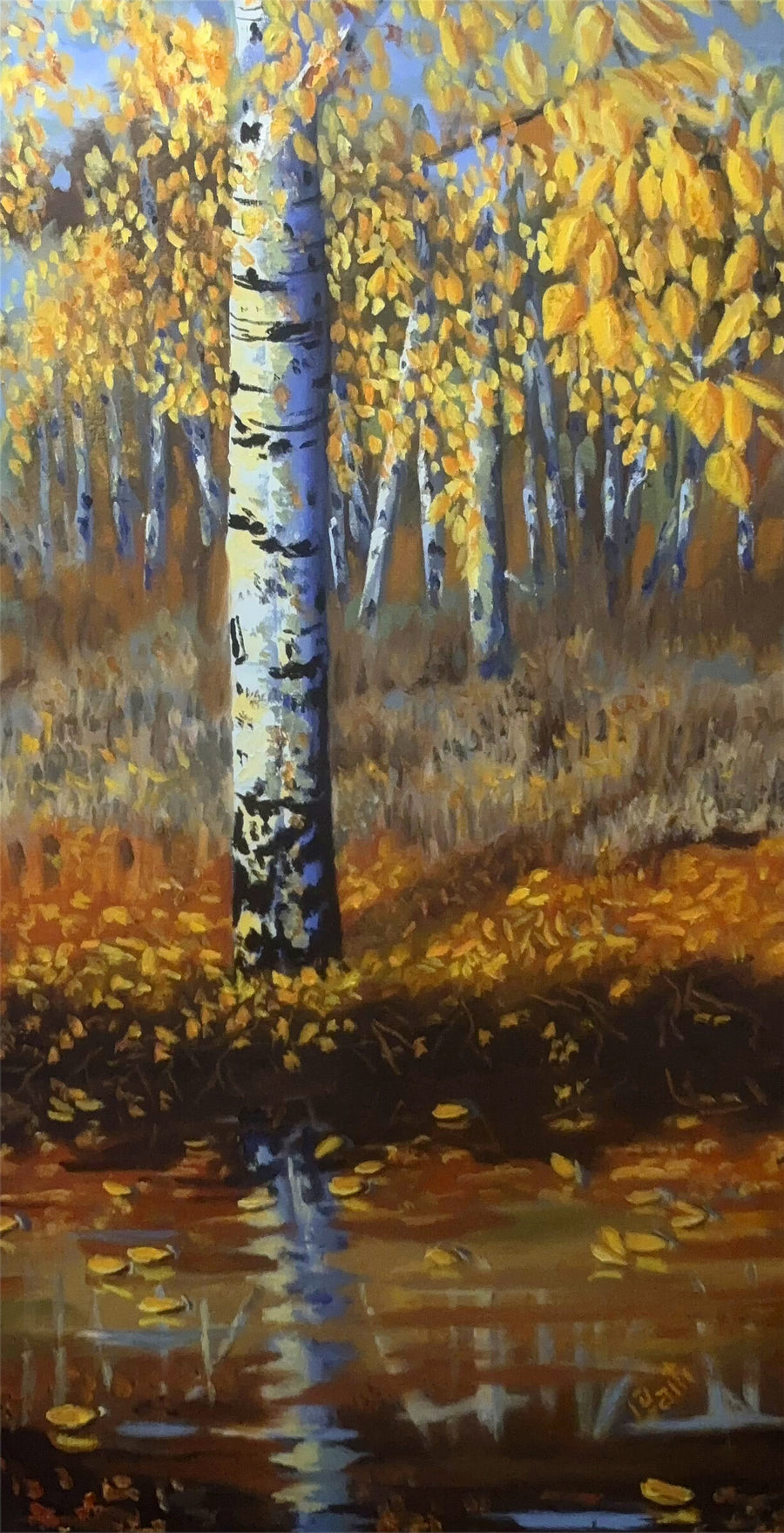 Birch at the Bank